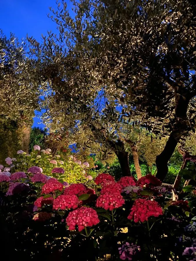 Mulazzo Relais San Filippo In Sogaglia Bed & Breakfast イタリア